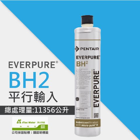 EVERPURE 愛惠浦 BH2活性碳濾芯/BH-2平行輸入濾芯請認明公司保固貼紙享黑水保固