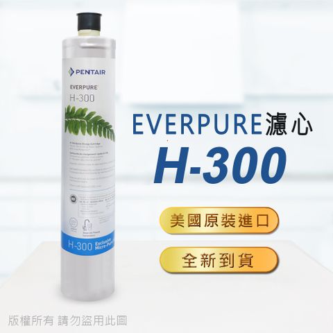 EVERPURE 愛惠浦 美國原廠平行輸入 H300濾心