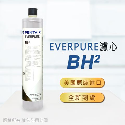 EVERPURE 愛惠浦 美國原廠平行輸入 BH2濾心