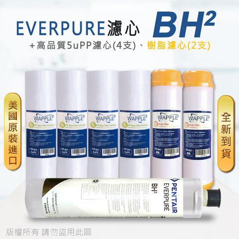 EVERPURE 愛惠浦 美國原廠平行輸入 BH2 濾心+高品質前置5uPP濾心+樹脂濾心(7支組)