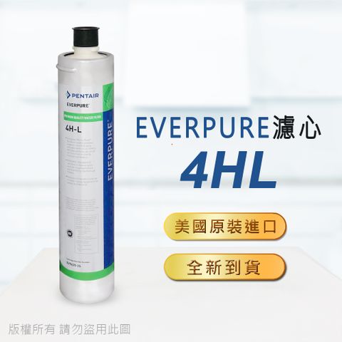 EVERPURE 愛惠浦 美國原廠平行輸入 4HL濾心