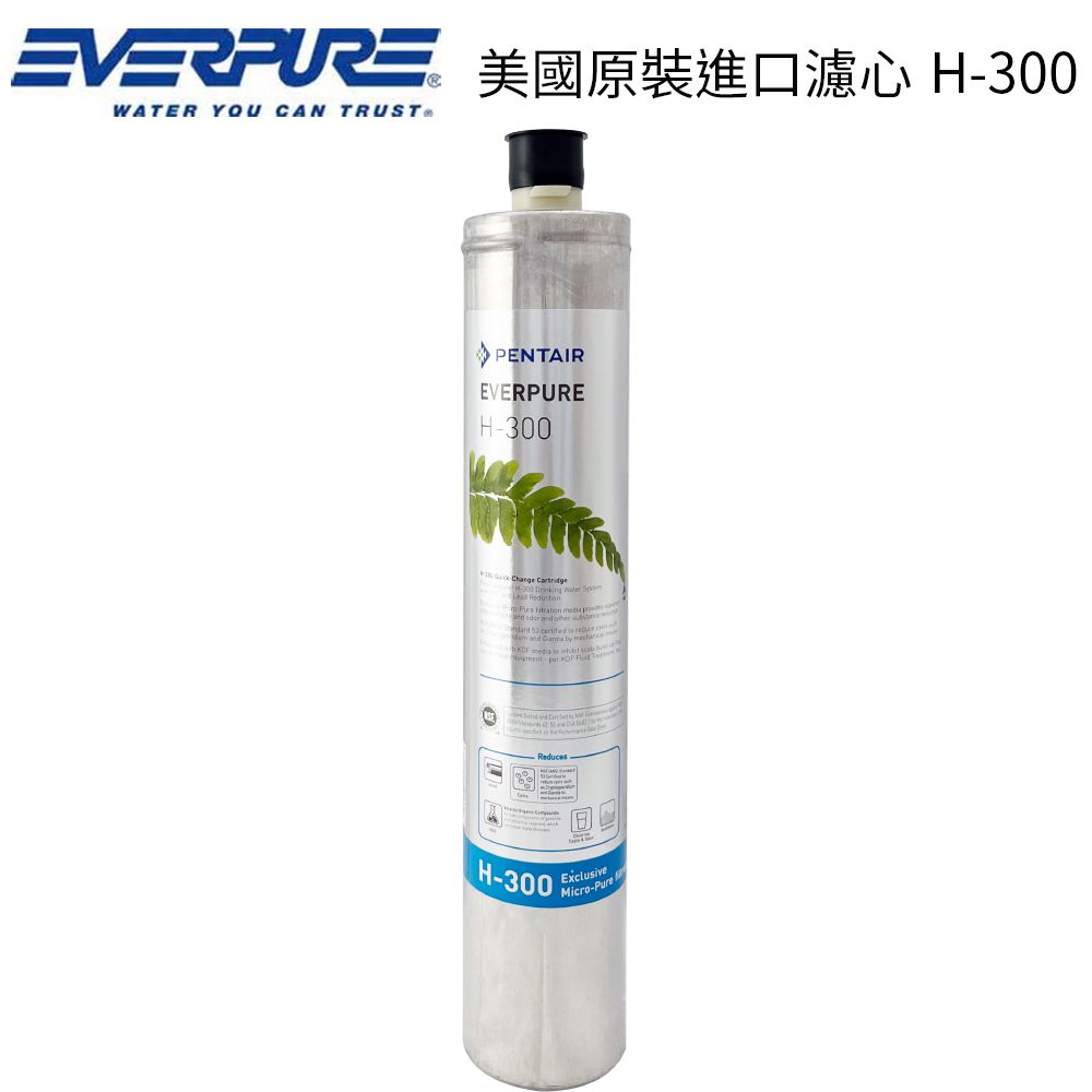 EVERPURE 愛惠浦 美國原裝進口濾心 H-300 / H300