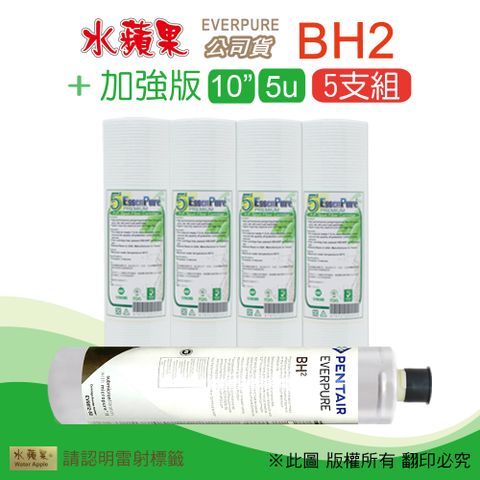 EssenPure 水蘋果 加強版10英吋5微米PP濾心+公司貨BH2濾心(5支組)