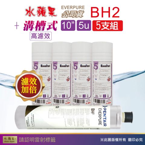 EssenPure 水蘋果 WAP-110高濾效10吋溝槽5uPP+公司貨BH2濾心(5支組)