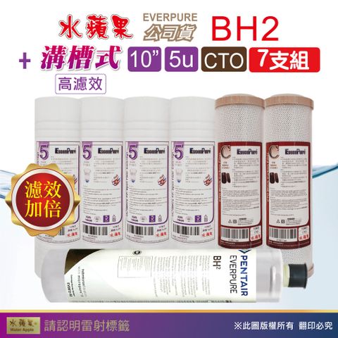 EssenPure 水蘋果 WAP-110高濾效10吋溝槽5uPP+CTO濾心+Everpure公司貨BH2濾心(7支組)