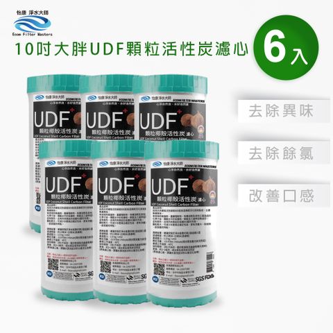 【怡康】10吋大胖標準UDF椰殼活性碳濾心(2入)