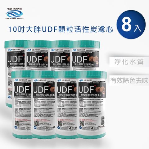 【怡康】10吋大胖標準UDF椰殼活性碳濾心(2入)