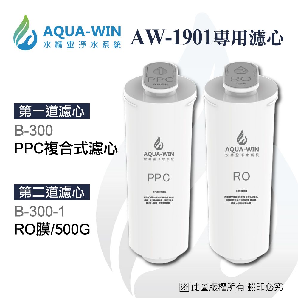 AQUA-WIN 水精靈 AW-1901專用濾心2支組(B-300+B-300-1)