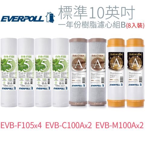 EVERPOLL 愛科濾淨 標準10英吋 一年份樹脂濾心組B (8入)