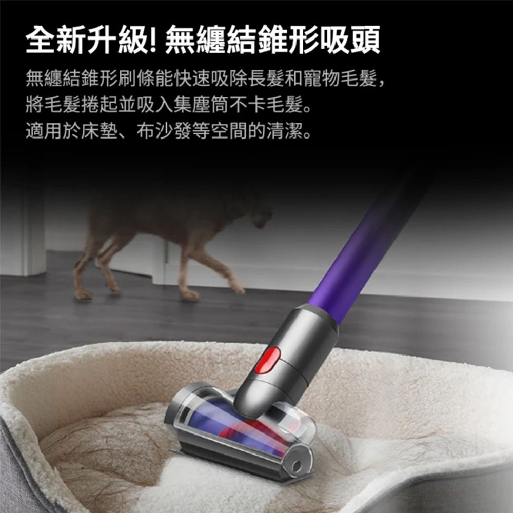 Dyson 戴森 SV18輕量無線吸塵器+HD08 吹風機(紅)+涼暖空氣清淨機HP10(白色)【超值組合】