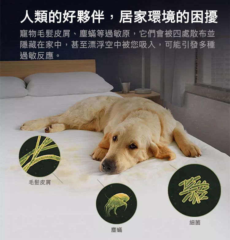 Dyson戴森 SV15 - 詳情3