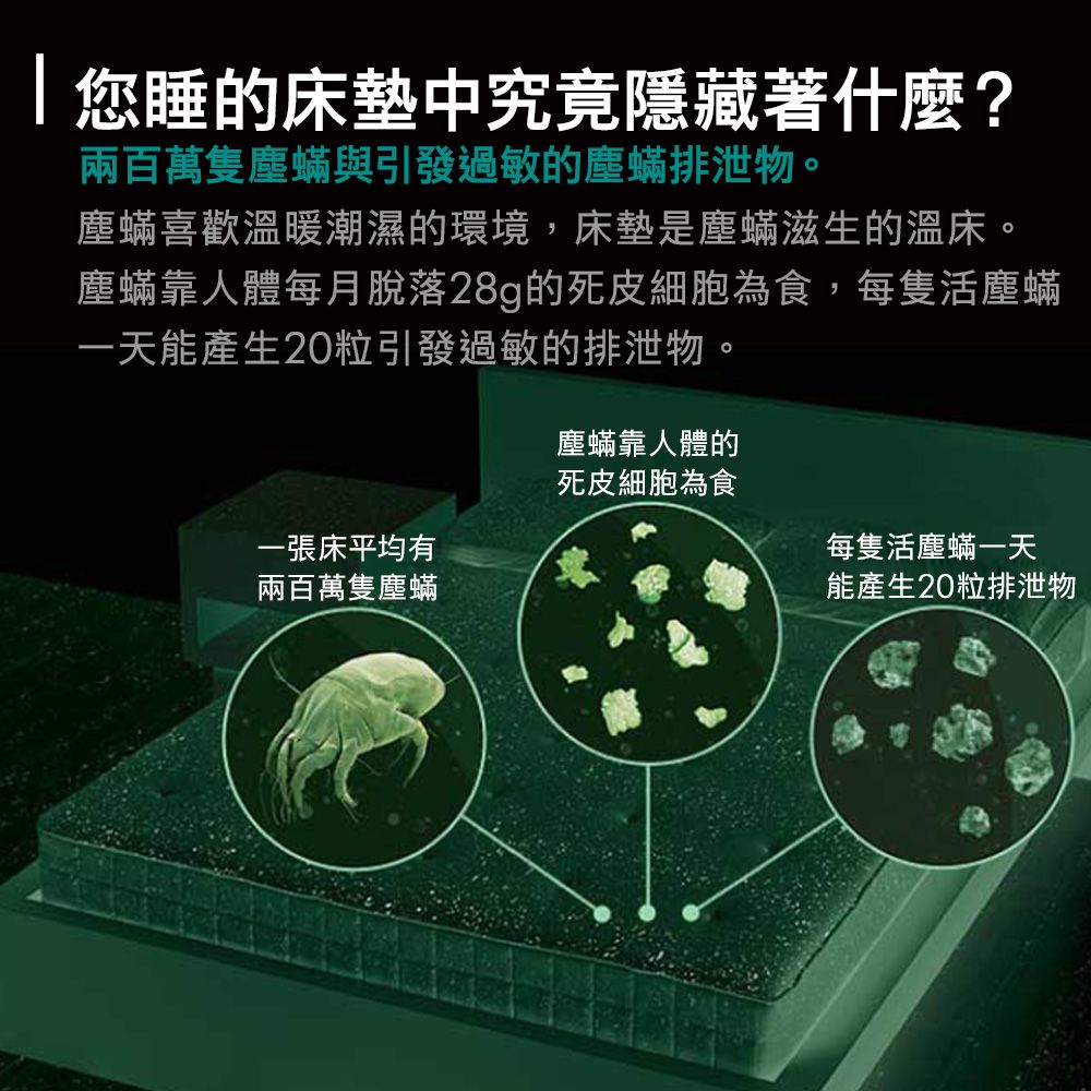 Dyson 戴森 V8 Focus Mattress origin HH15強勁無線除塵蟎機 手持吸塵器【福利品】