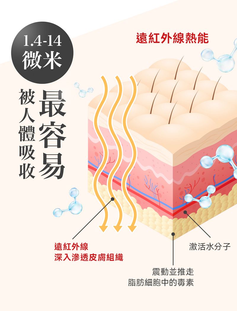 1.4-14微米遠紅外線深入滲透皮膚組織遠紅外線熱能激活水分子震動並推走脂肪細胞中的毒素