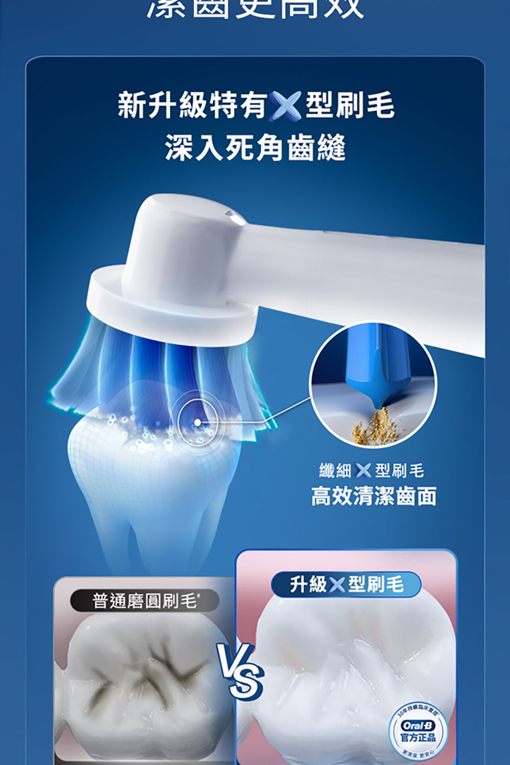 新升級特有型刷毛深入死角齒縫纖細 型刷毛高效清潔齒面升級型刷毛普通磨圓刷毛