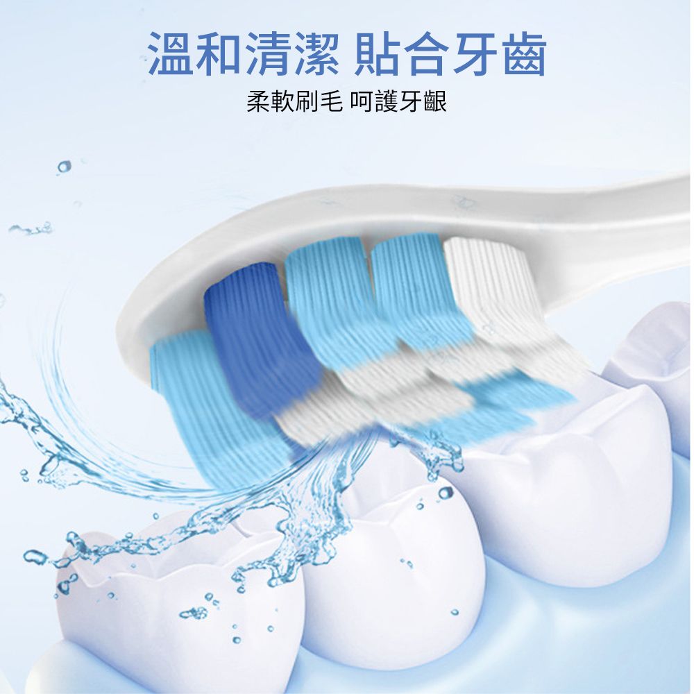 溫和清潔 貼合牙齒柔軟刷毛 呵護牙齦