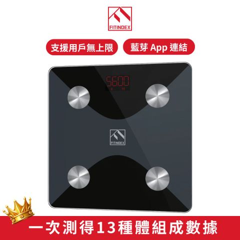 【Fitindex】FitBody 13合1智能電子體重計/體脂計 FT-CS20(黑)