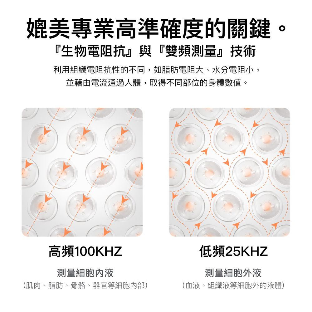 媲美專業高準確度的關鍵。『生物電阻抗』與『雙頻測量』技術利用組織電阻抗性的不同,如脂肪電阻大、水分電阻小,並藉由電流通過人體,取得不同部位的身體數值。高頻100KHZ測量細胞內液(肌肉、脂肪、骨骼、器官等細胞內部)低頻25KHZ測量細胞外液(血液、組織液等細胞外的液體)