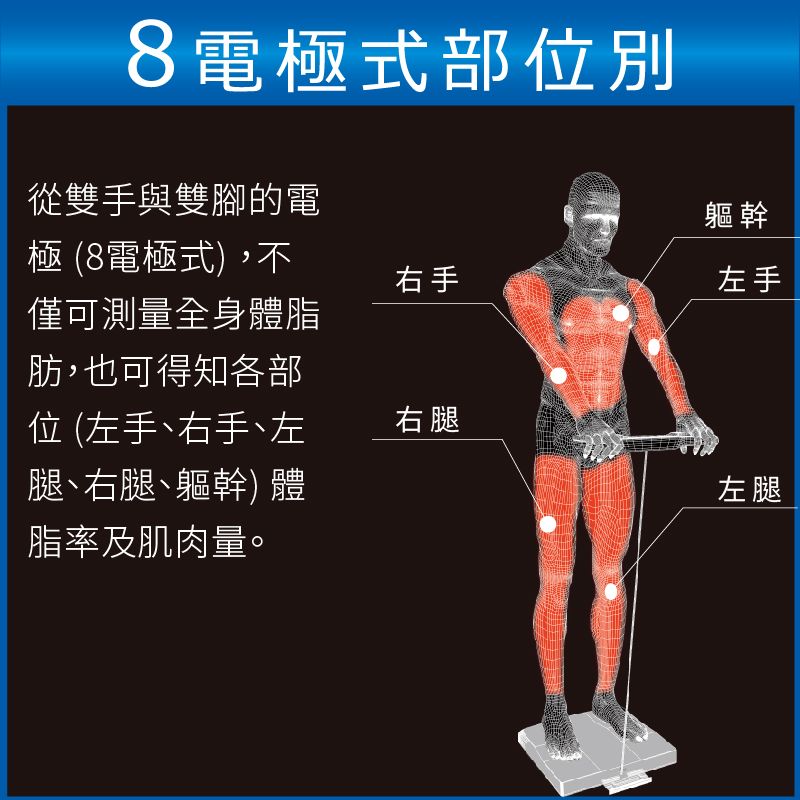 8電極式部別從雙手與雙腳的電軀幹極 (8電極式),不僅可測量全身體脂肪,也可得知各部位 (左手右手左腿、右腿、軀幹) 體脂率及肌肉量。右手左手右腿左腿
