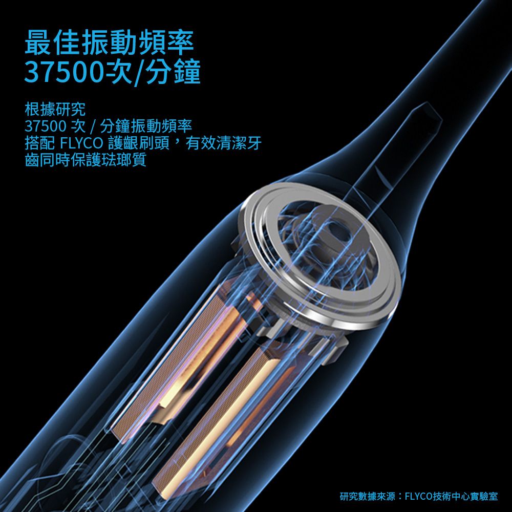 FLYCO 飛科  全方位潔淨音波電動牙刷-冰晶藍 FT7105TW-IB (適用刷頭TH01)
