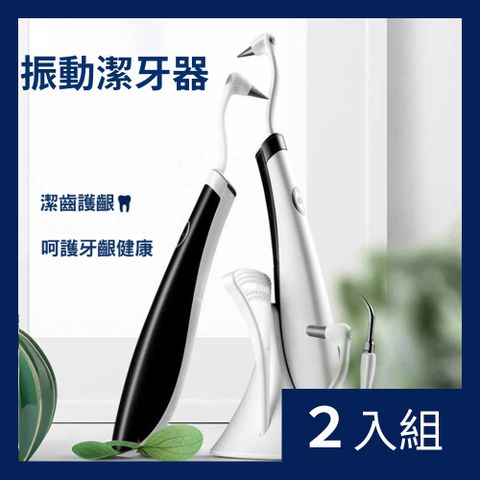 CS22 VIBRATION 高效多功能電動潔牙沖牙器2色-2入