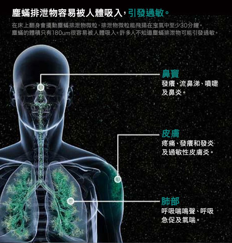 塵蟎排泄物容易被人體吸入,引發過敏。在床上翻身會擾動塵蟎排泄物微粒,排泄物微粒能飛揚在空氣中至少30分鐘。塵蟎的體積只有180um很容易被人體吸入。許多人不知道塵蟎排泄物可能引發過敏。鼻竇發癢、流鼻涕、噴嚏及鼻炎。-皮膚疼痛、發癢和發炎及過敏性皮膚炎。肺部呼吸喘鳴聲、呼吸急促及氣喘。