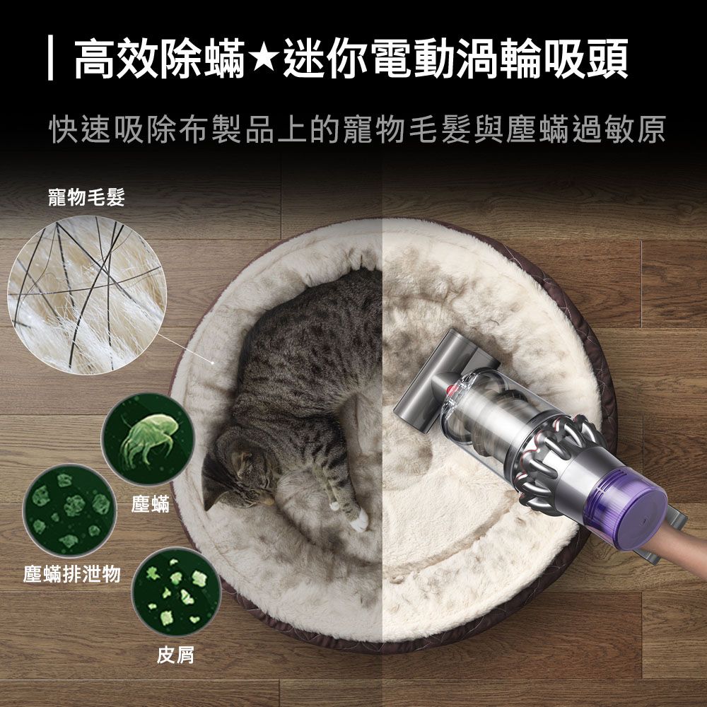 Dyson 戴森 SV15 V11 Fluffy Extra手持無線吸塵器(PChome獨家大全配/熱銷升級版/除螨機/原廠公司貨/二年保固)