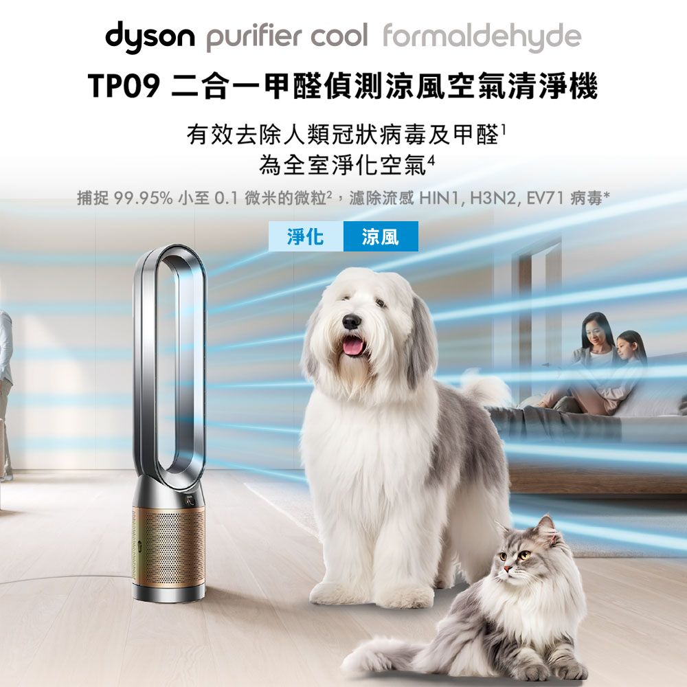 Dyson 戴森 Purifier Cool Formaldehyde 二合一甲醛偵測涼風空氣清淨機TP09(鎳金色)