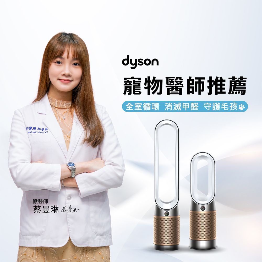 Dyson 戴森 【超值二入組】 三合一甲醛偵測涼暖風扇空氣清淨機 HP09 鎳金色