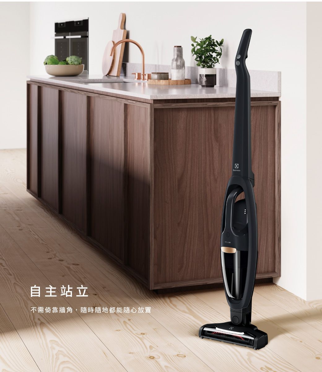 Electrolux 伊萊克斯】Well Q6 無線吸塵器(WQ61-1OGG) - PChome 24h購物