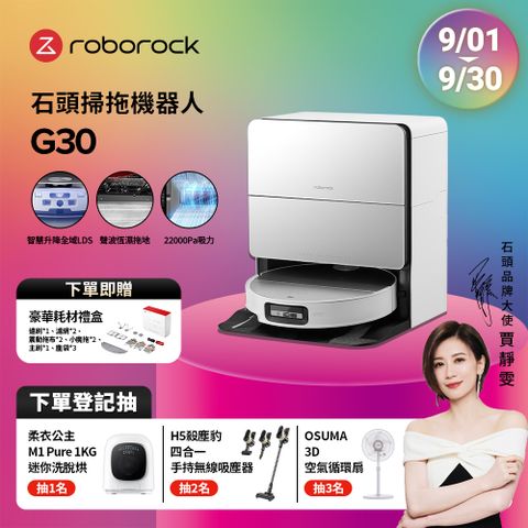 Roborock 石頭科技 石頭掃地機器人G30
