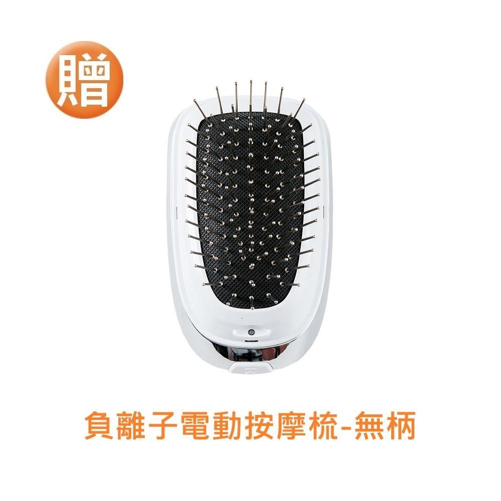 PRINCESS 荷蘭公主 手持式蒸氣掛燙機 332846 贈無柄負離子電動按摩梳