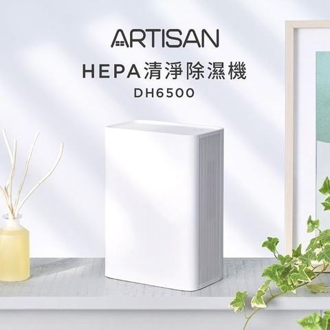 ARTISAN 【南紡購物中心】 有效過濾pm2.5~HEPA清淨除濕機 DH6500