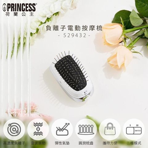 PRINCESS 荷蘭公主 【南紡購物中心】  負離子電動按摩梳(無柄) 529432