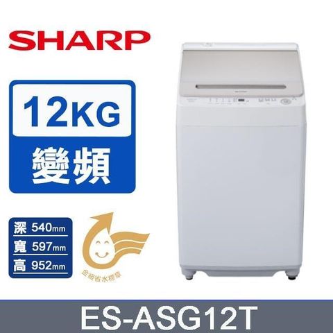 SHARP 夏普 12公斤無孔槽變頻直立式洗衣機(ES-ASG12T)