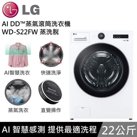 LG 樂金 22公斤 AI DD蒸氣滾筒洗衣機 蒸洗脫 WD-S22FW 冰瓷白