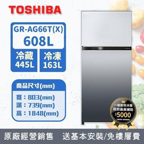 TOSHIBA 東芝 608公升變頻抗菌鮮凍鏡面雙門冰箱GR-AG66T(X)