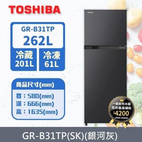 TOSHIBA 東芝 262公升雙門變頻冰箱GR-B31TP(SK)(銀河灰)