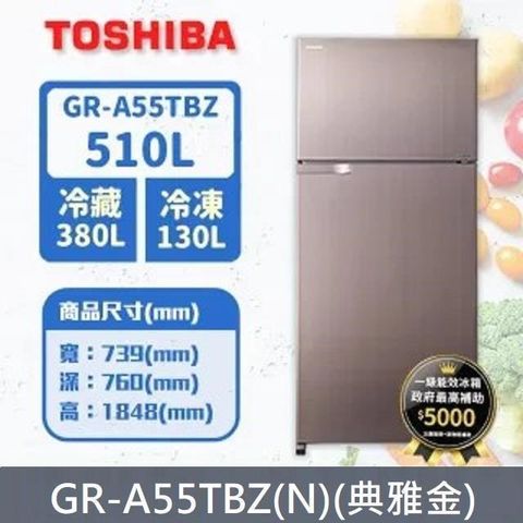 TOSHIBA 東芝 510公升雙門變頻冰箱GR-A55TBZ(N)(典雅金)