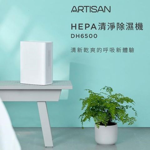【南紡購物中心】【ARTISAN】電子式清淨除濕機(小型) DH6500
