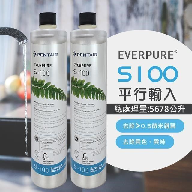 EVERPURE 愛惠浦 S100家用標準型淨水器濾心/S-100(美國原廠平行輸入全新品)二入組