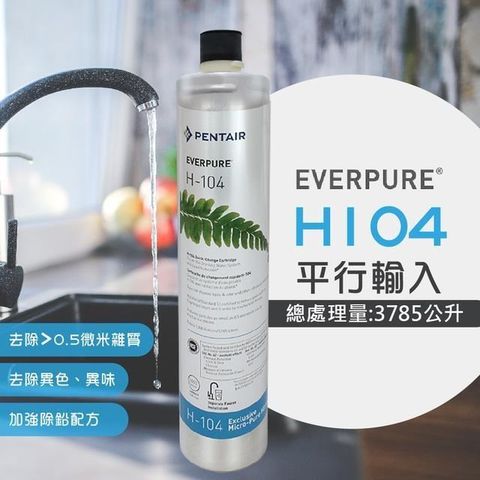 EVERPURE 愛惠浦 【南紡購物中心】 H104強效抑垢家用型淨水器濾心/H-104(美國原廠平行輸入全新品)