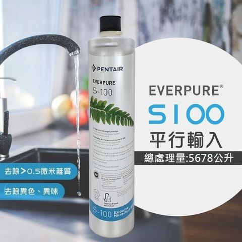 EVERPURE 愛惠浦 S100家用標準型淨水器濾心/S-100平行輸入濾芯(美國原廠平行輸入全新品)