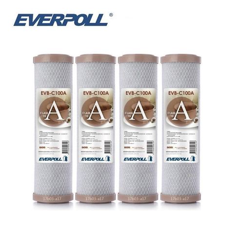 EVERPOLL 愛科濾淨 【南紡購物中心】 10英吋網狀壓縮活性碳棒濾芯 EVB-C100A