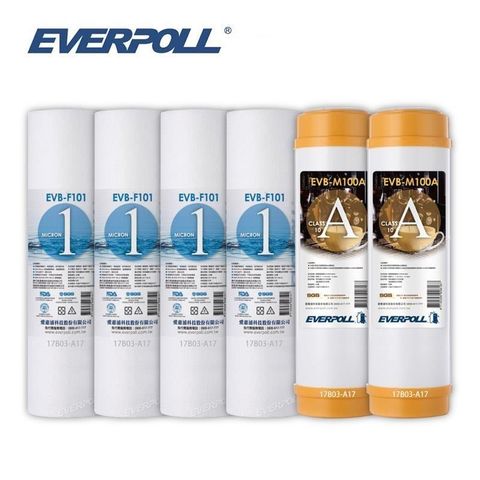 EVERPOLL 愛科濾淨 【南紡購物中心】 10英吋EVB-F101 四支 EVB-M100A二支 超值組合