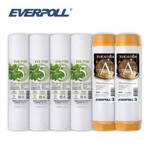 EVERPOLL 愛科濾淨 【南紡購物中心】 10英吋EVB-F105 四支 EVB-M100A二支 超值組合