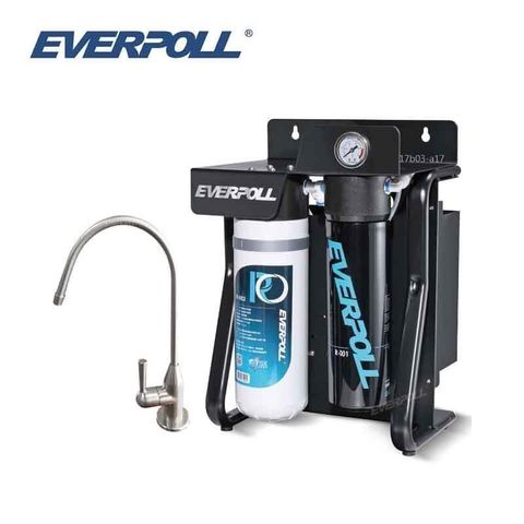 EVERPOLL 愛科濾淨 【南紡購物中心】 直出式極淨純水設備 RO-900 搭配H-118 不鏽鋼單冷出水龍頭