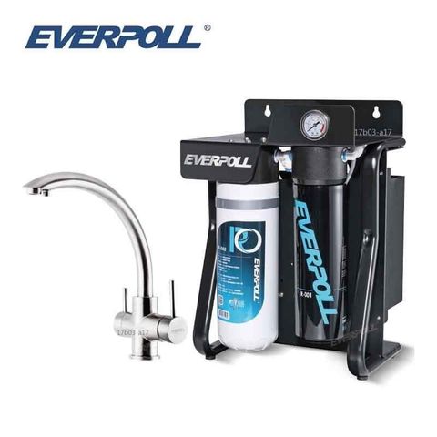 EVERPOLL 愛科濾淨 【南紡購物中心】 直出式極淨純水設備 RO-900 搭配H-318不鏽鋼三用龍頭