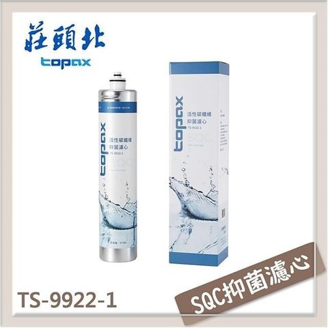 TOPAX 莊頭北 【南紡購物中心】  廚下淨水熱飲組 TS-9952A