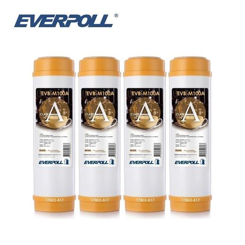 EVERPOLL 愛科濾淨 【南紡購物中心】 10英吋道爾樹脂濾芯 EVB-M100A有效濾除水中石灰質減低硬度及汙染物