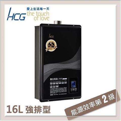 【南紡購物中心】 和成HCG 16L 數位恆溫強制排氣型熱水器 GH-1655
